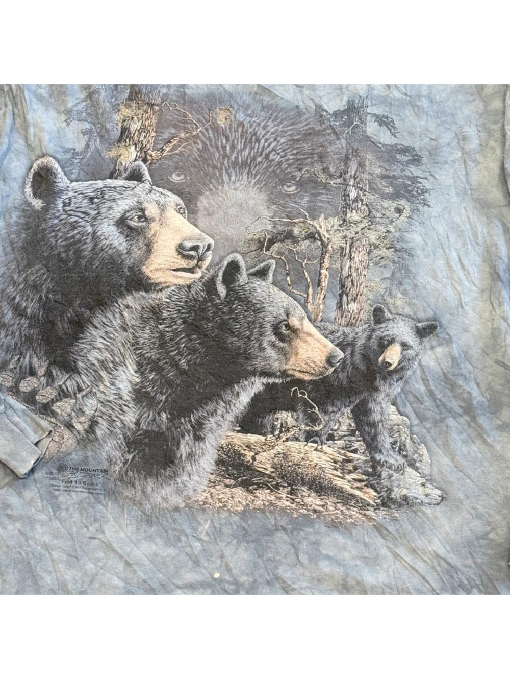The Mountain Find 13 Bears Long Sleeve Graphic T-Shirt 1522